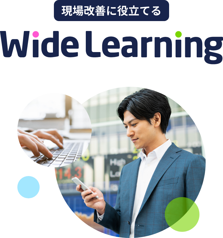 ビジネスで使う Wide Learning™